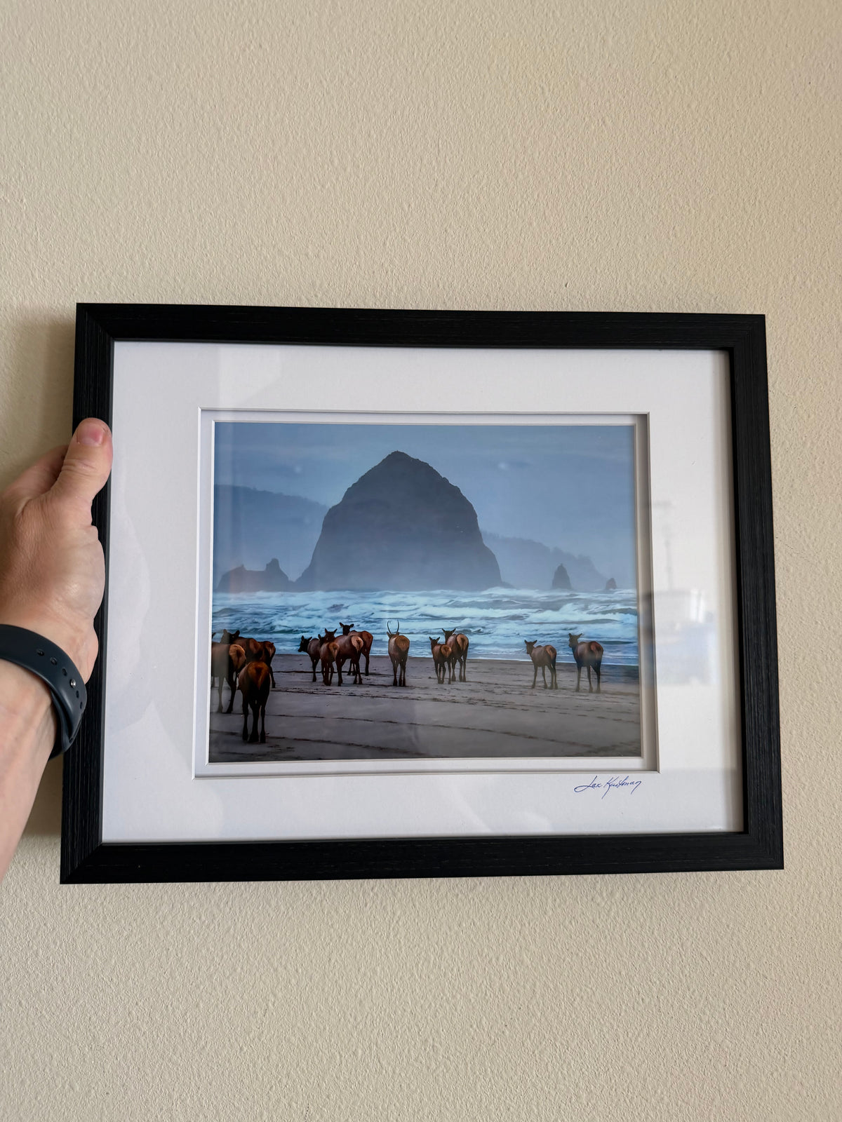 Cannon Beach Stroll
