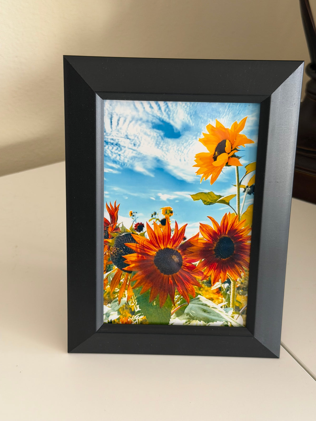 4x6 Framed Photos of the PNW